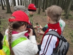 Lesní pedagogika.