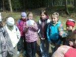 Lesní pedagogika 2012