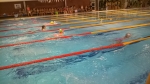 Okresní přebor v plavání 2014