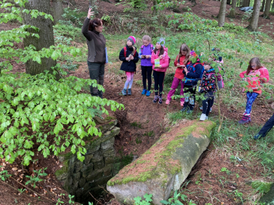 Třeťáci zkoumali les i rybník