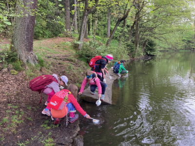 Třeťáci zkoumali les i rybník