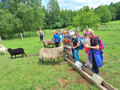 Zábava, zvířátka a smyslová dobrodružství v Sedmihorkách