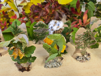 Environmentální výchova 