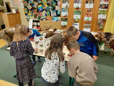 Environmentální výchova 