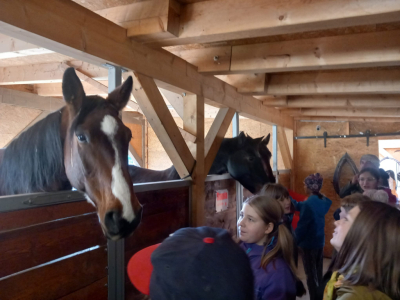 Terapie koňskou duší