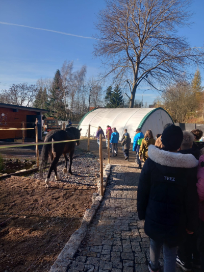 Terapie koňskou duší