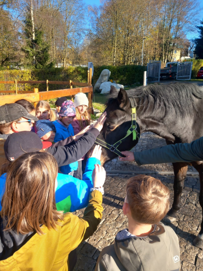 Terapie koňskou duší