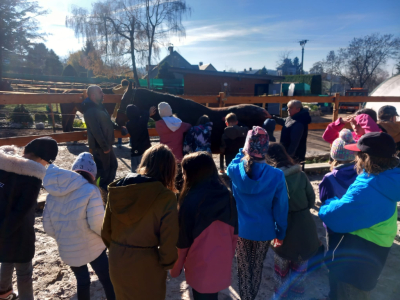 Terapie koňskou duší