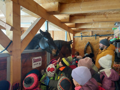 Koňští doktoři Samia, Laos a Marvel