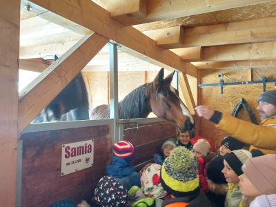 Koňští doktoři Samia, Laos a Marvel
