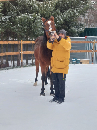 Koňští doktoři Samia, Laos a Marvel