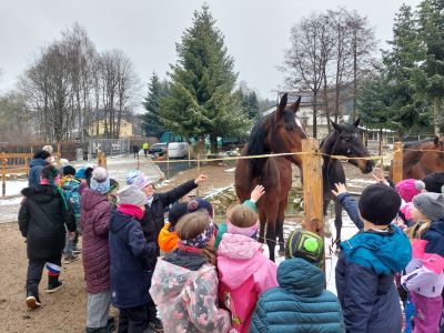 Zážitková návštěva stájí Horse Soul Brand – Terapie koňskou duší