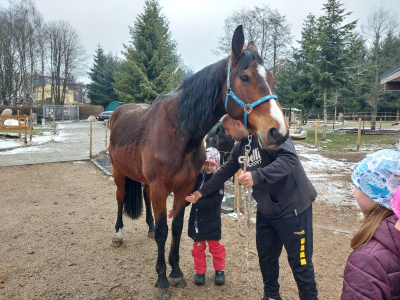 Zážitková návštěva stájí Horse Soul Brand – Terapie koňskou duší