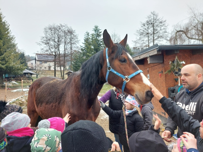 Zážitková návštěva stájí Horse Soul Brand – Terapie koňskou duší
