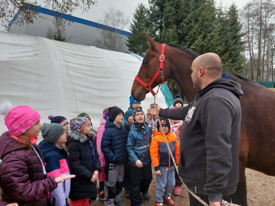 Zážitková návštěva stájí Horse Soul Brand – Terapie koňskou duší