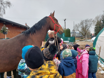 Zážitková návštěva stájí Horse Soul Brand – Terapie koňskou duší