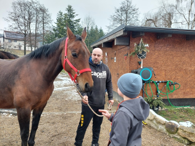 Zážitková návštěva stájí Horse Soul Brand – Terapie koňskou duší