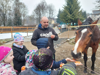 Zážitková návštěva stájí Horse Soul Brand – Terapie koňskou duší
