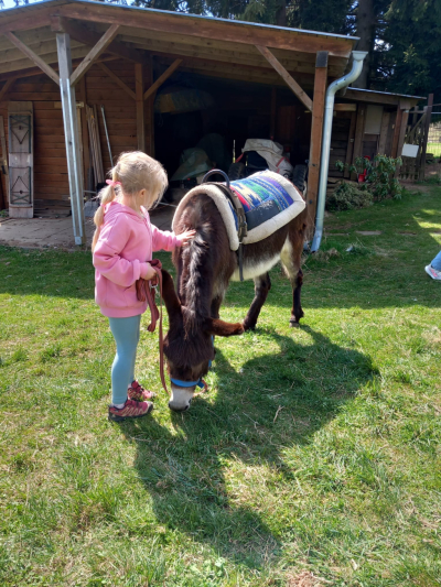 Pěšky za oslíkem