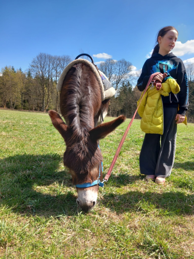 Pěšky za oslíkem