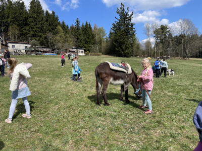 Pěšky za oslíkem