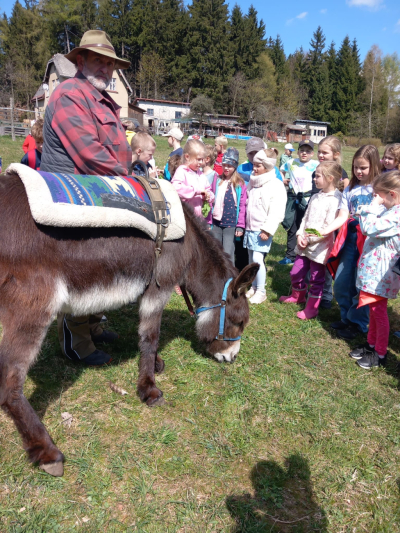 Pěšky za oslíkem