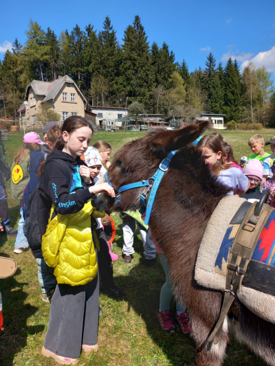 Pěšky za oslíkem