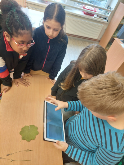 Od herbáře k ruměnici