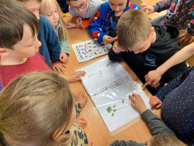 Od herbáře k ruměnici