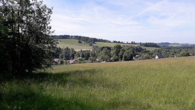 Víte, co všechno žije v kokonínském potoce?