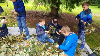 ENVIRONMENTÁLNÍ VÝCHOVA  v praxi na 1. stupni