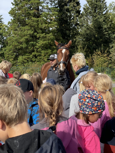 Mezinárodní den zvířat