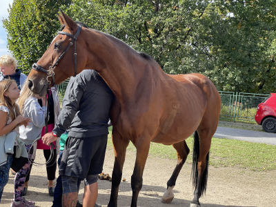 Mezinárodní den zvířat