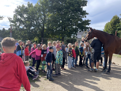 Mezinárodní den zvířat