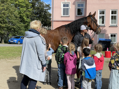 Mezinárodní den zvířat