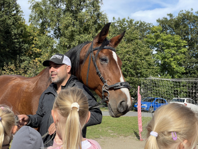 Mezinárodní den zvířat