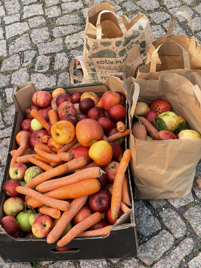 Mezinárodní den zvířat