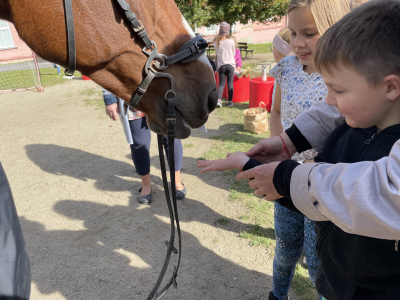 Mezinárodní den zvířat
