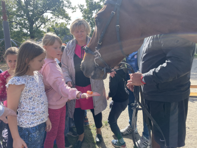 Mezinárodní den zvířat