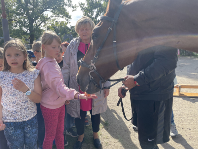 Mezinárodní den zvířat