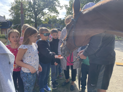 Mezinárodní den zvířat