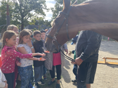 Mezinárodní den zvířat