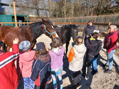 KRÁSNÉ DOPOLEDNE S KOŇMI