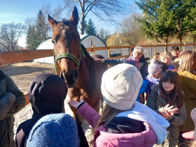 KRÁSNÉ DOPOLEDNE S KOŇMI