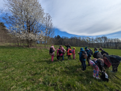 Tajemství studánek a geologie Kokonína