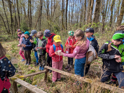 Tajemství studánek a geologie Kokonína