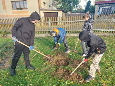 Od zrna k mouce. Nebo spíš k drti?